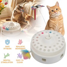 Multifunctional Electric Cat