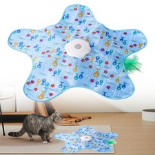 Interactive Cat Toys for