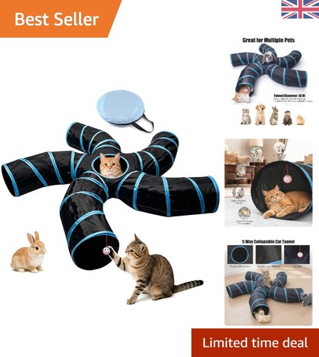 Shape interactive cat - interactive, tunnel
