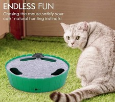 Pawaboo Interactive Cat Toy